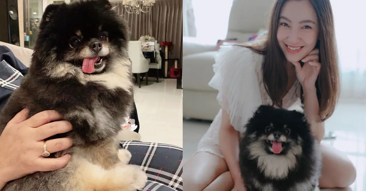 เบลล่า ราณี