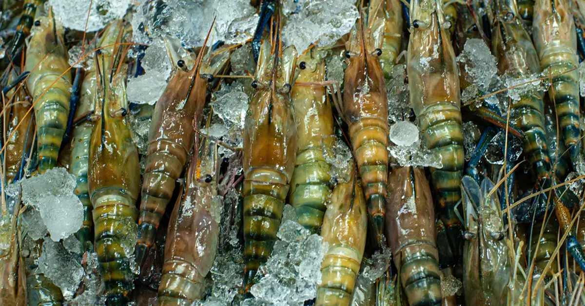 ตลาดสี่มุมเมือง