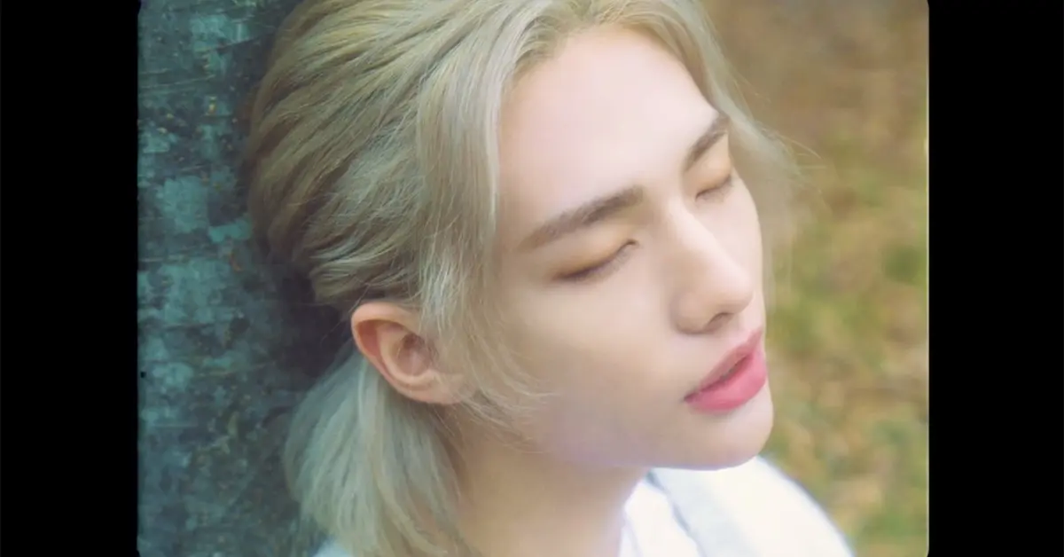 ฮยอนจิน Stray Kids