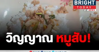 ข้าวผัดกะเพราหมูสับ