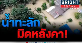 แม่น้ำตาปี