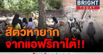 สวนสัตว์ขอนแก่น
