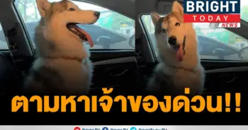 "สาว" สุดมึน