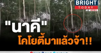 นาคีโคโยตี้