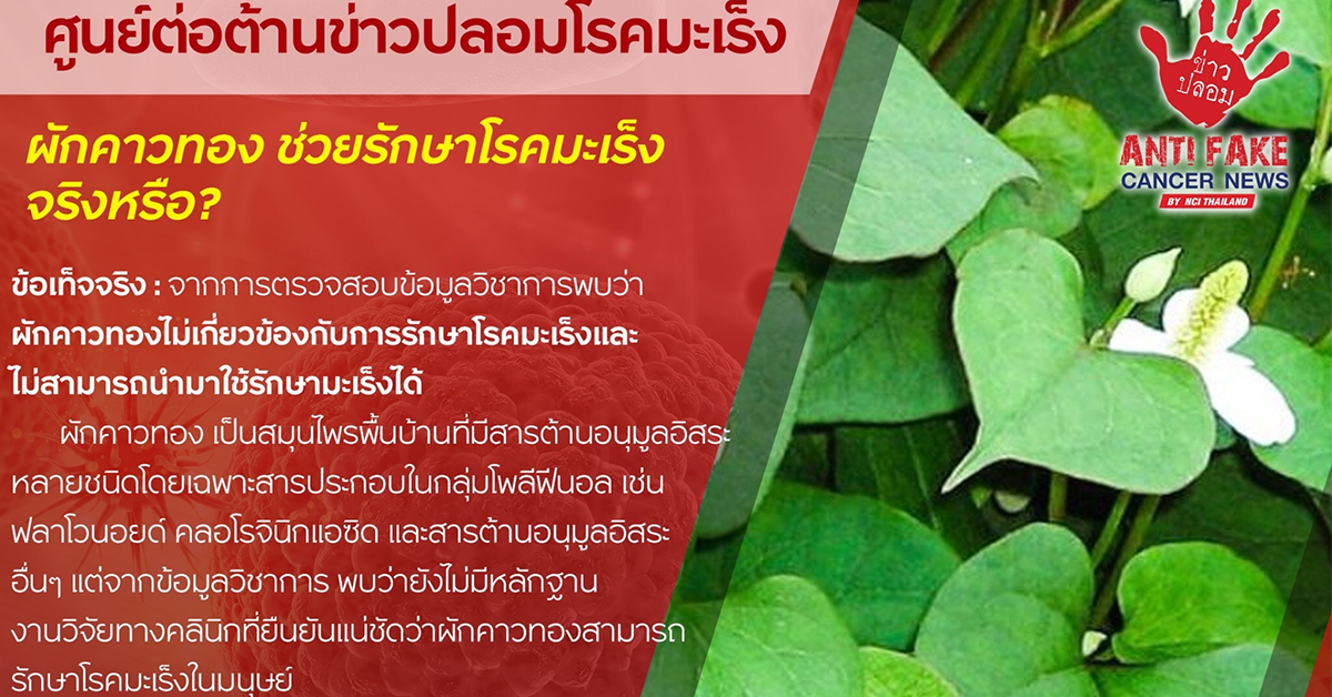 ผักคาวทองช่วยรักษาโรคมะเร็ง