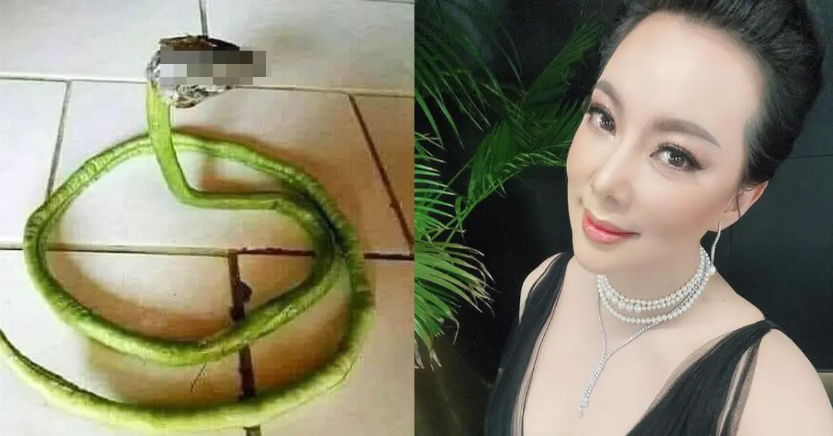 บุ๋ม ปนัดดา