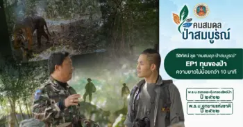 คนสมดุล ป่าสมบูรณ์