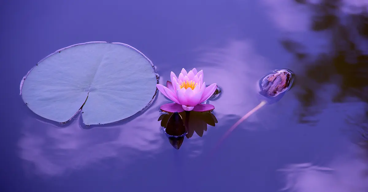 ฮวงจุ้ย