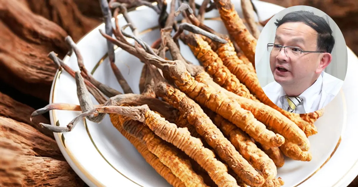 ถั่งเช่า