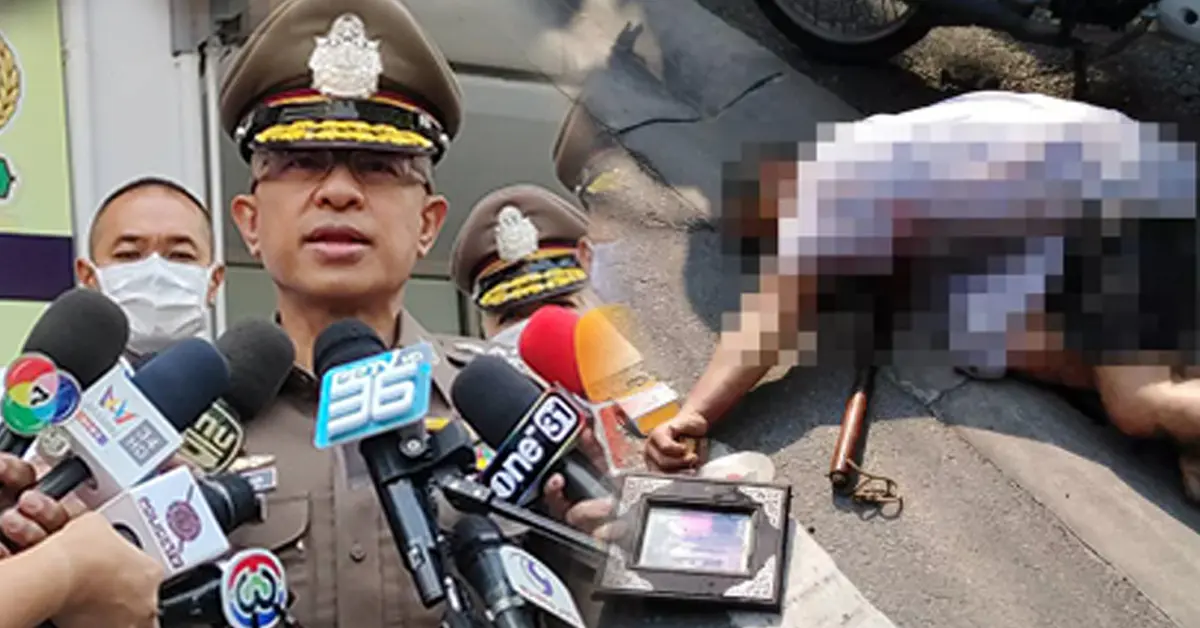 ลูกคลั่งฆ่าแม่