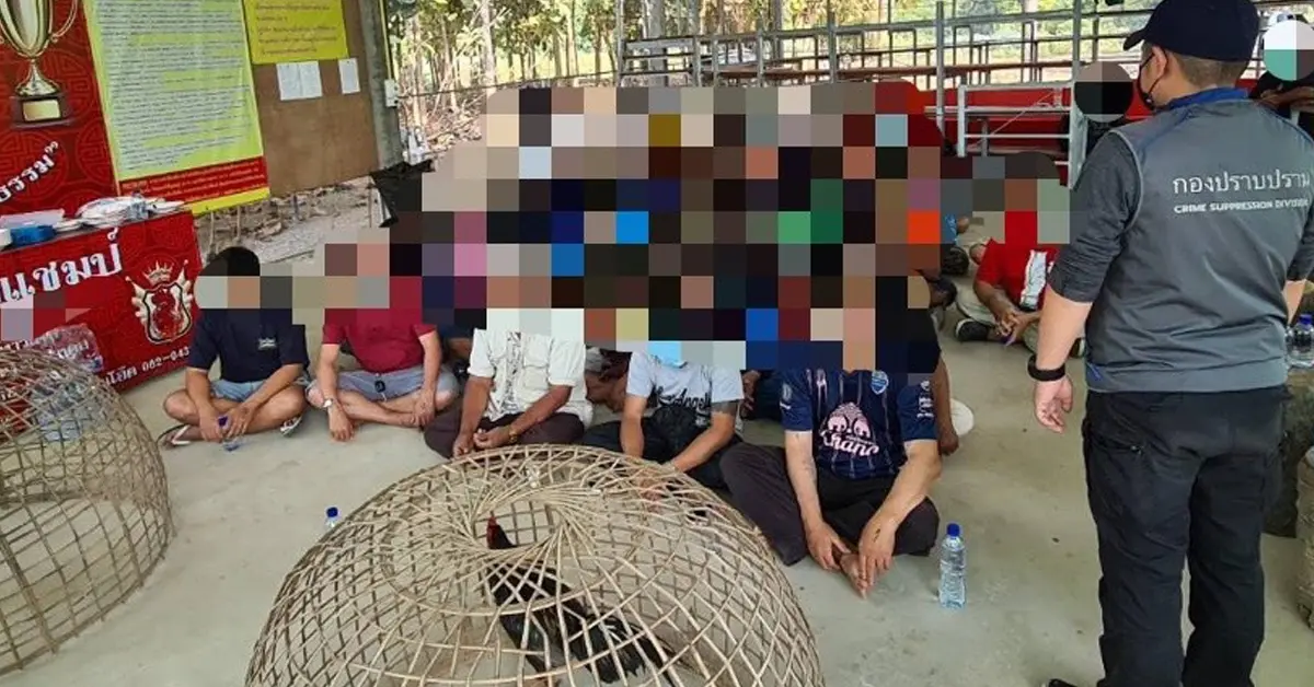 บ่อนไก่ชน