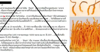 ถั่งเช่า