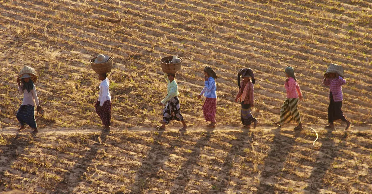 แรงงานเถื่อน