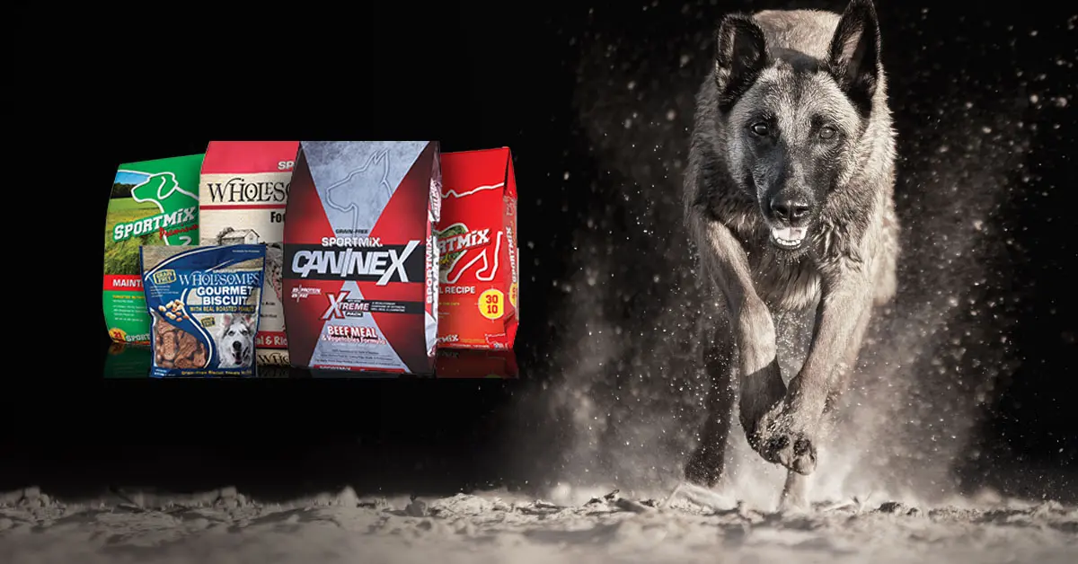 อาหารสุนัข