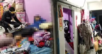 เคนมผง