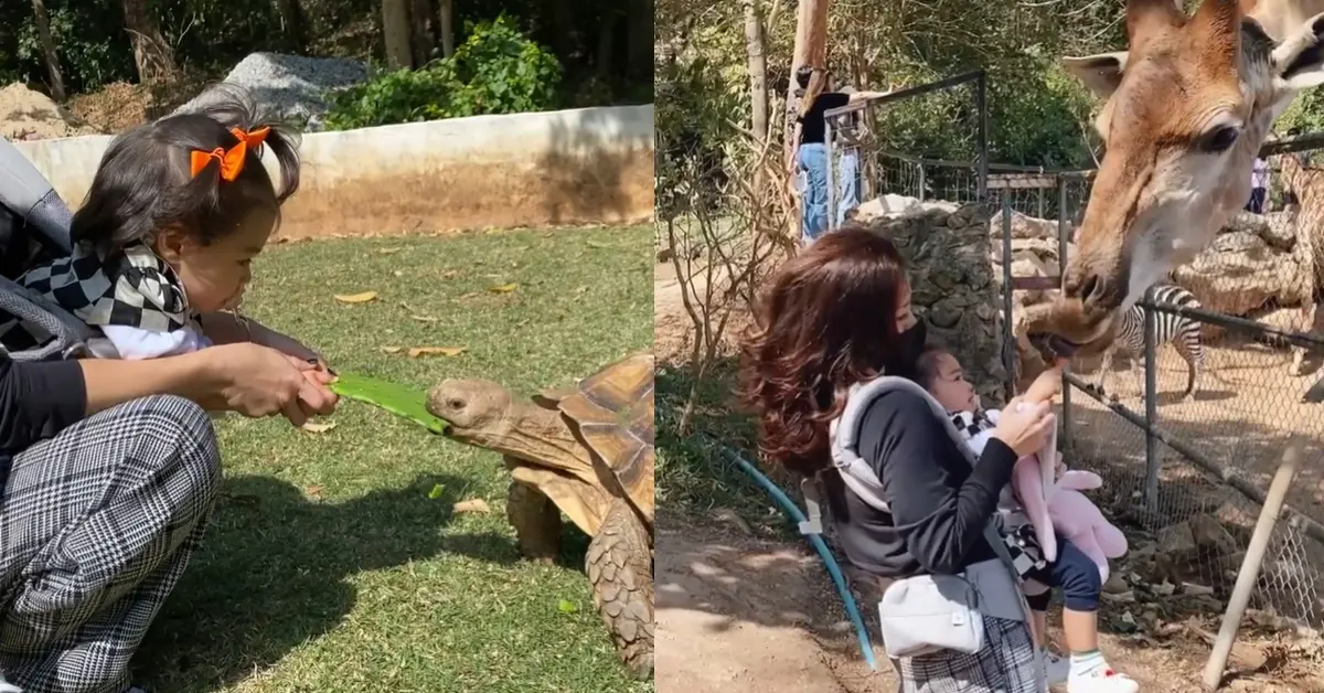 น้องเดมี่