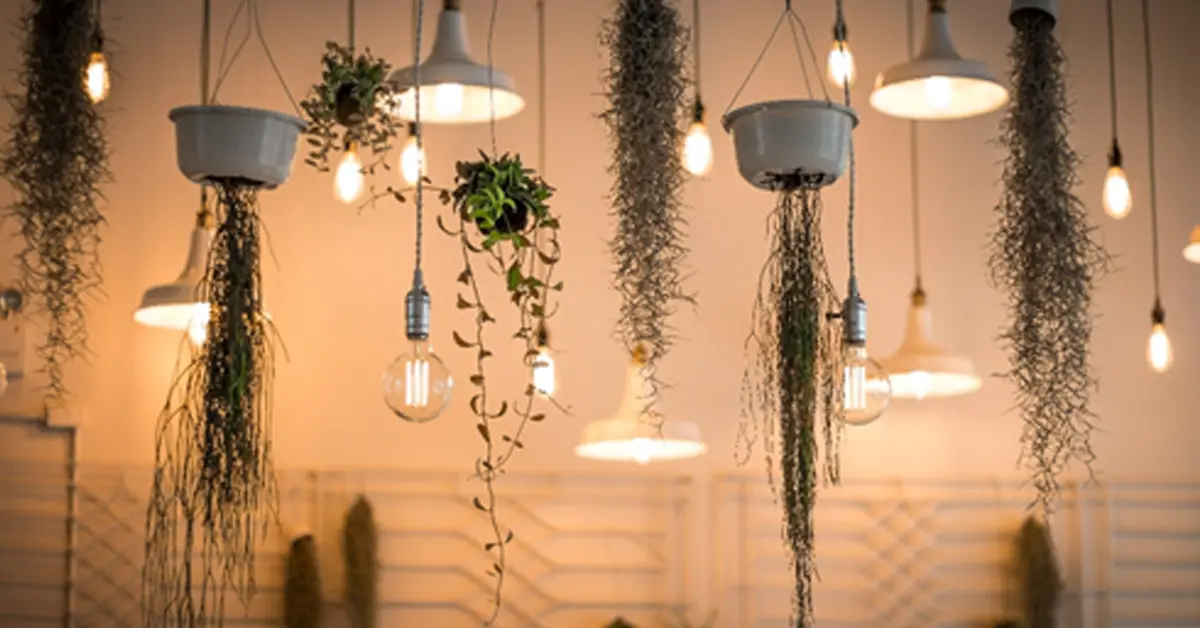 ฮวงจุ้ย