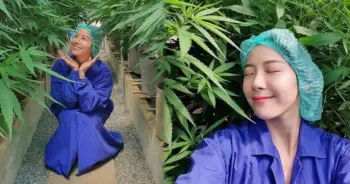 ทับทิม มัลลิกา