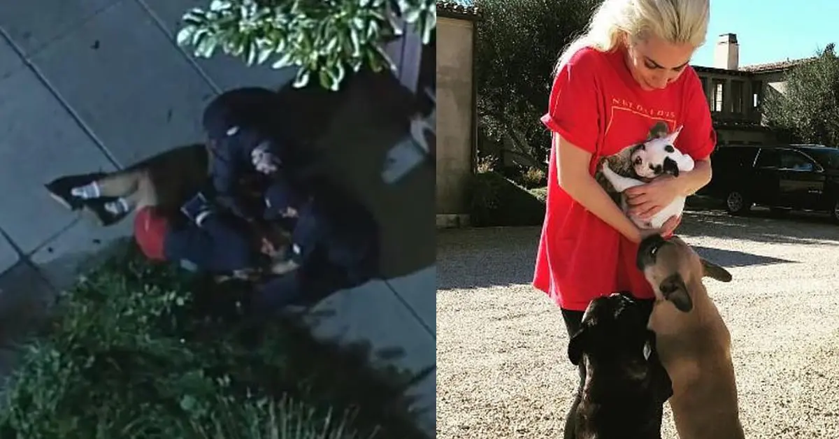 เลดี้ กาก้า