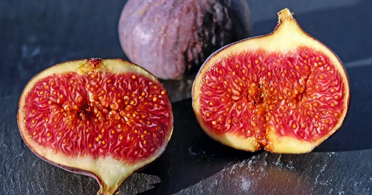 ฝันเห็นมะเดื่อ