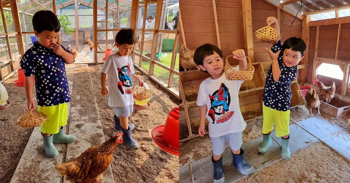 สายฟ้า-พายุ