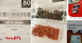 พัสดุเก็บเงินปลายทาง