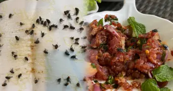 ร้านส้มตำ ปก