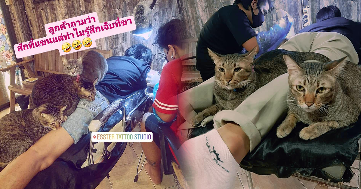 ร้านสัก 11