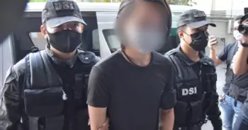 เนเน่