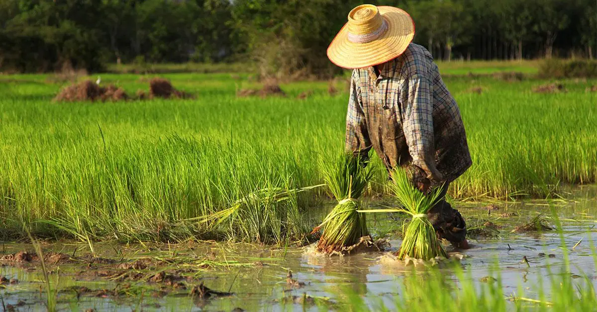 จุรินทร์ ลักษณวิศิษฏ์