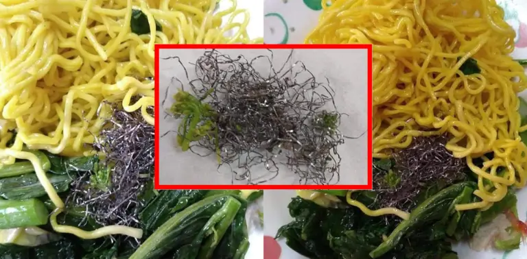 ฝอยขัดหม้อ บะหมี่ ปก