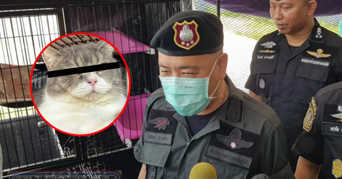 กุ๊ก ระยอง