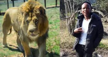 ไกด์ซาฟารี