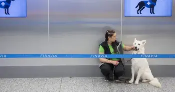 switzerland-sniffer-dog-covid19ปก