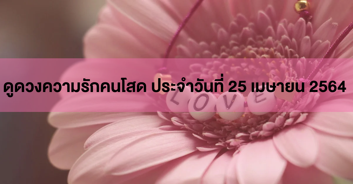 ดวงความรัก