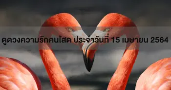 ดวงความรัก