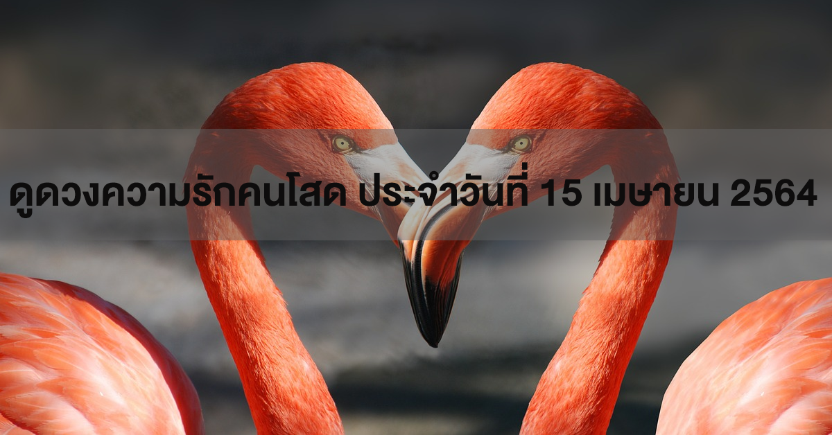 ดวงความรัก