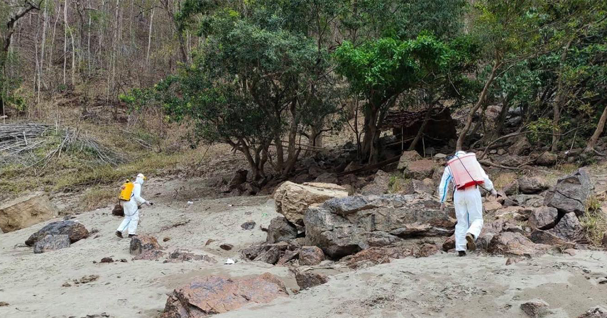 พ่นเชื้อ โขดหิน ปก