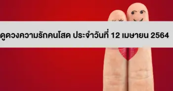 ความรักคนโสด