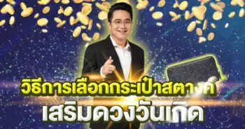 หมอช้าง
