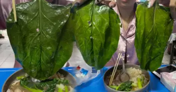 ราดหน้าคะน้า ปก