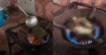 เผาเต่า ปก