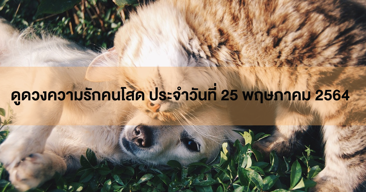 ดวงความรัก
