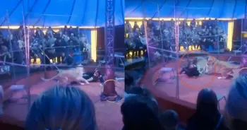 คณะละครสัตว์