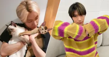 เตนล์ WayV แมว