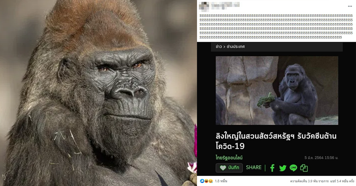 ลิงใหญ่ ปก