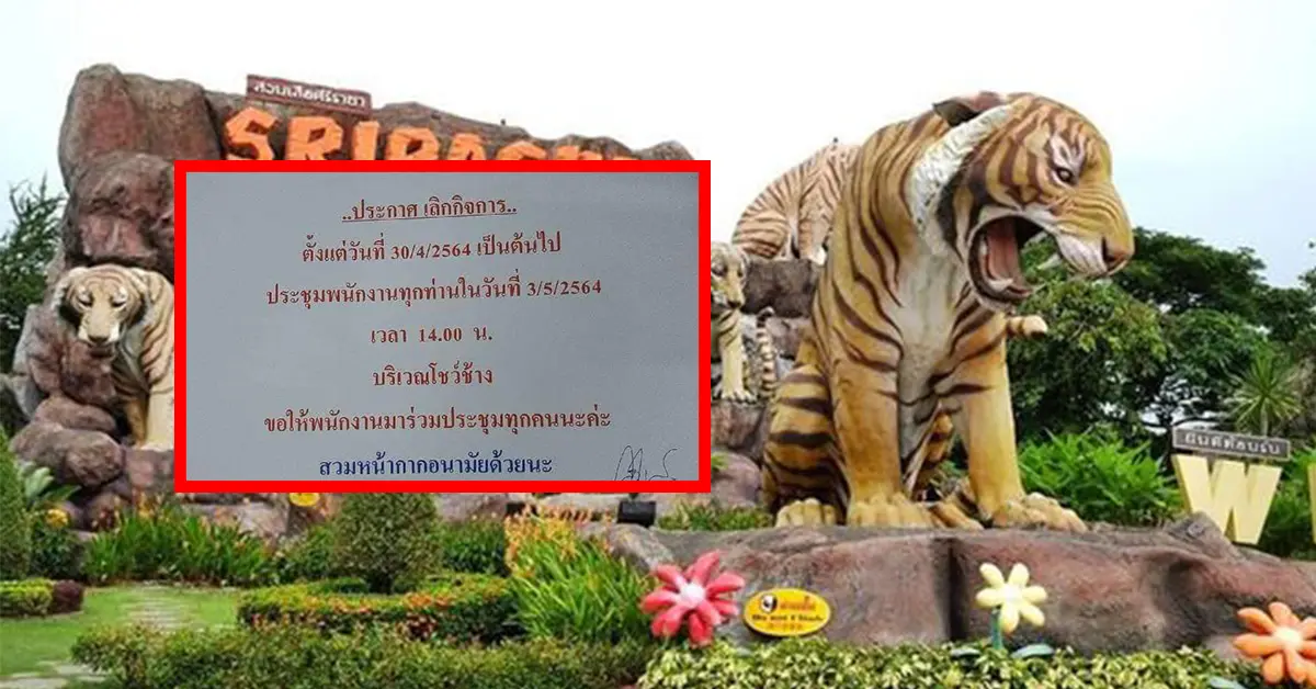 สวนเสือศรีราชา ประกาศเลิกกิจการ