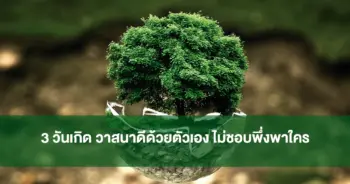 หมอเค้ก