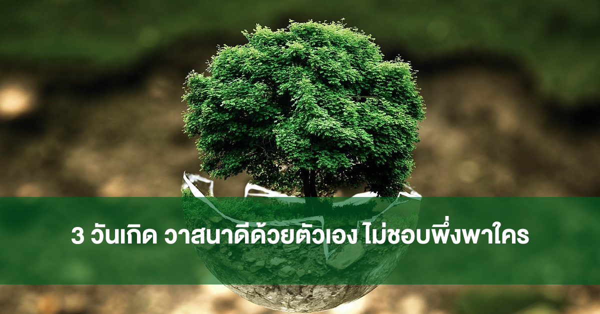 หมอเค้ก