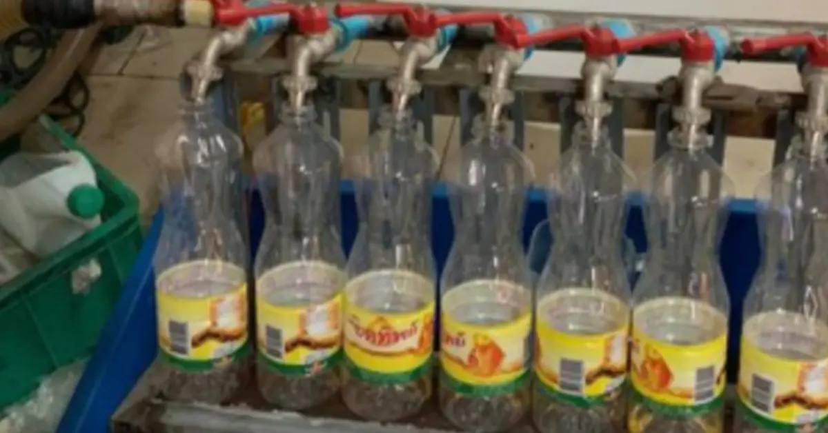 โรงงานผลิตน้ำปลาปลอม ชลบุรี